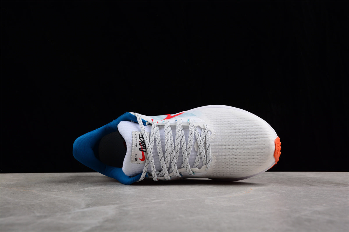 NK Zoom Pegasus 39 FD4322-161