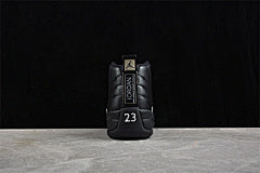 Air Jordan 12 Retro “The Master” – AJ12 130690-013