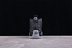 Air Jordan 12 "Wolf Grey" AJ12 CT8013-010