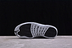 Air Jordan 12 "Wolf Grey" AJ12 CT8013-010