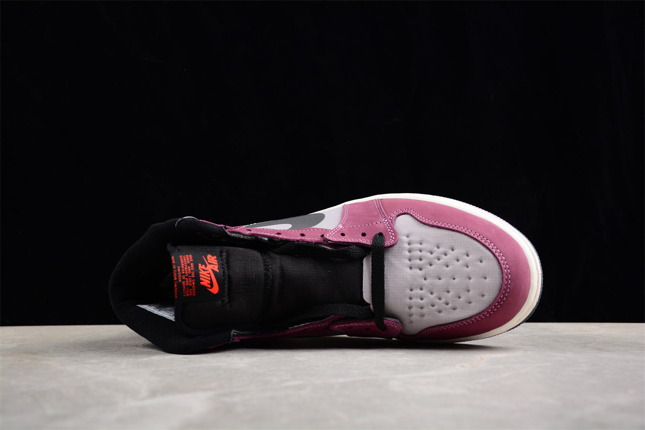 Air Jordan 1 Element "Gore-Tex" AJ1 DB2889-500
