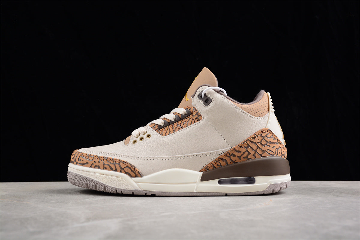 Air Jordan 3 "Palomino" AJ3 CT8532-102