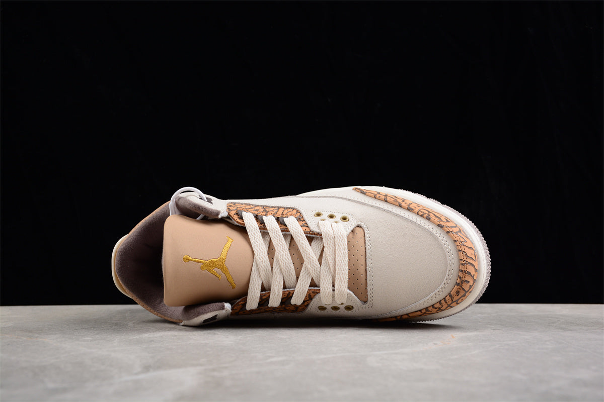 Air Jordan 3 "Palomino" AJ3 CT8532-102