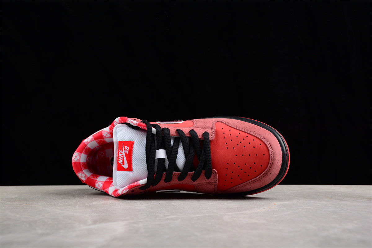 Concepts x Nk SB Dunk Low "Red Lobster" 313170-661