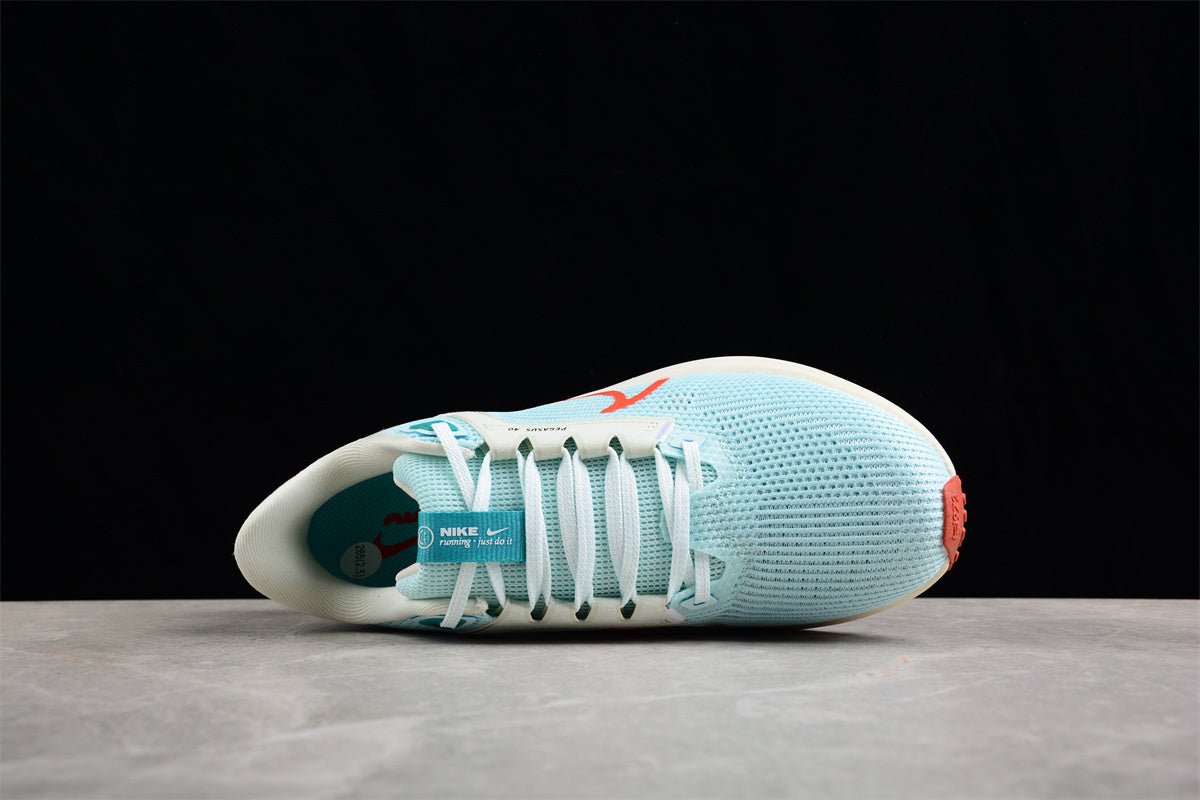 Nike Air Zoom Pegasus 40 – DV3854-300a