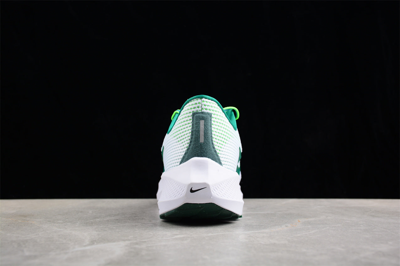 Nike Air Zoom Pegasus 40 – FJ0329-100a