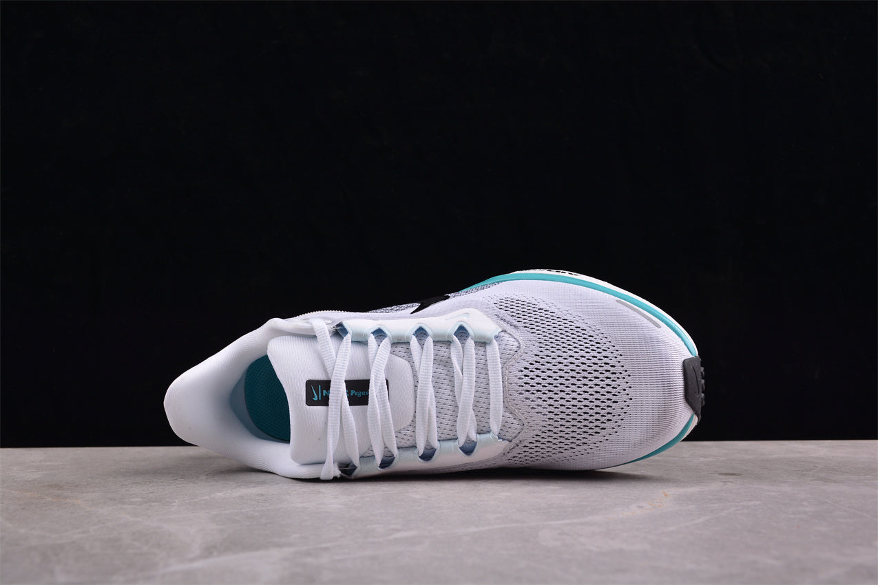 Nike Air Zoom Pegasus 41 – FD2722-103