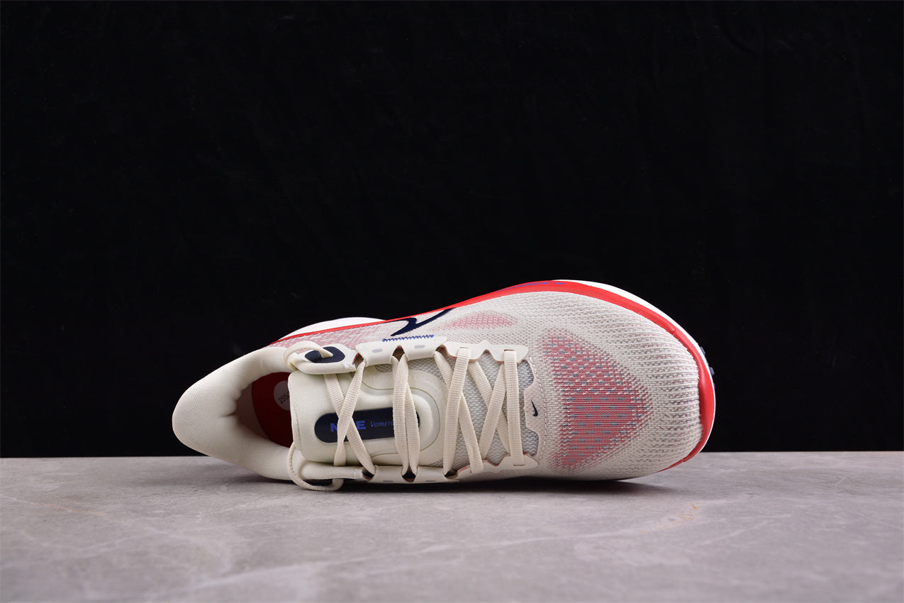 Nike Air Zoom Vomero 17 – FB1309-003