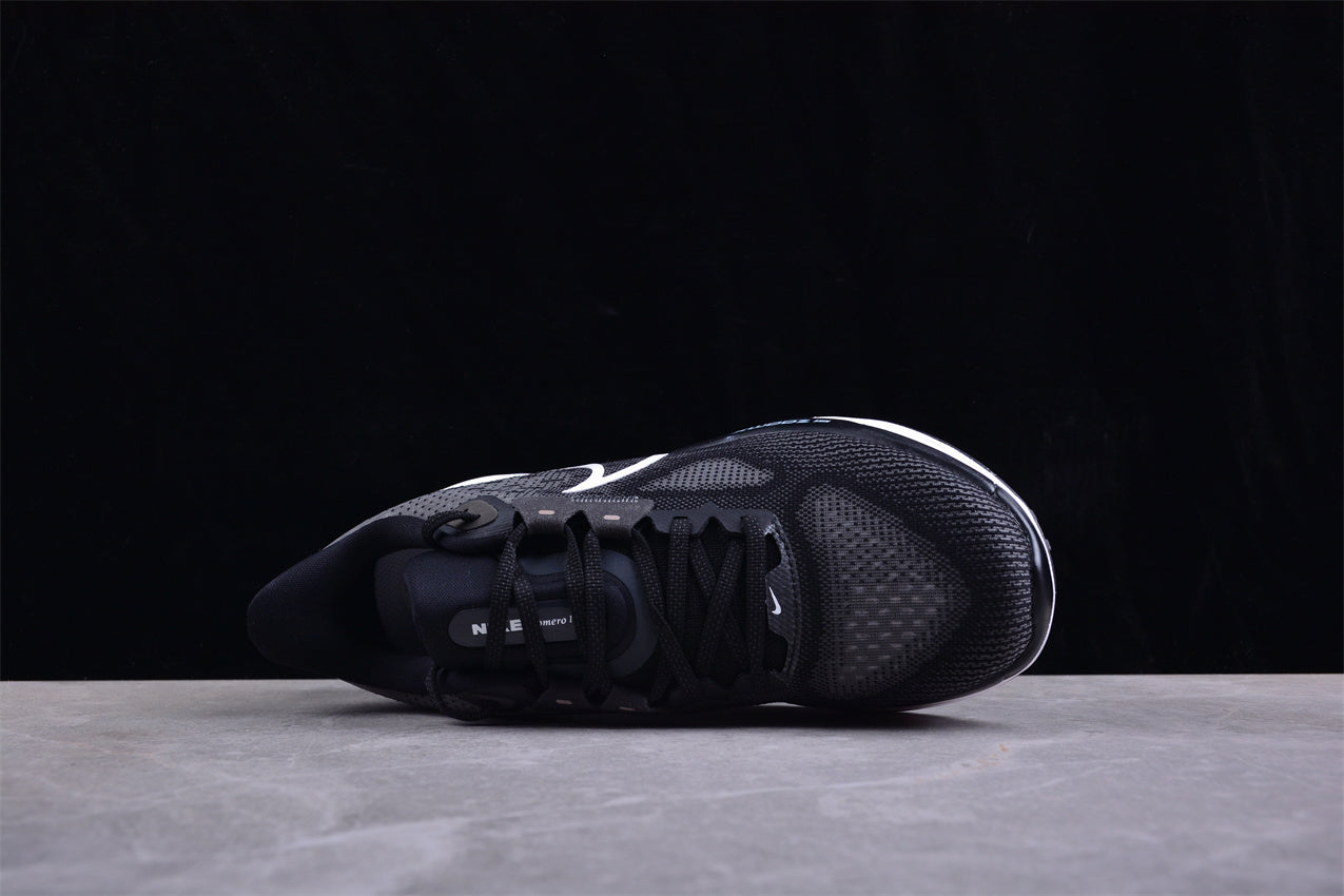 Nike Air Zoom Vomero 17 FB1309-004