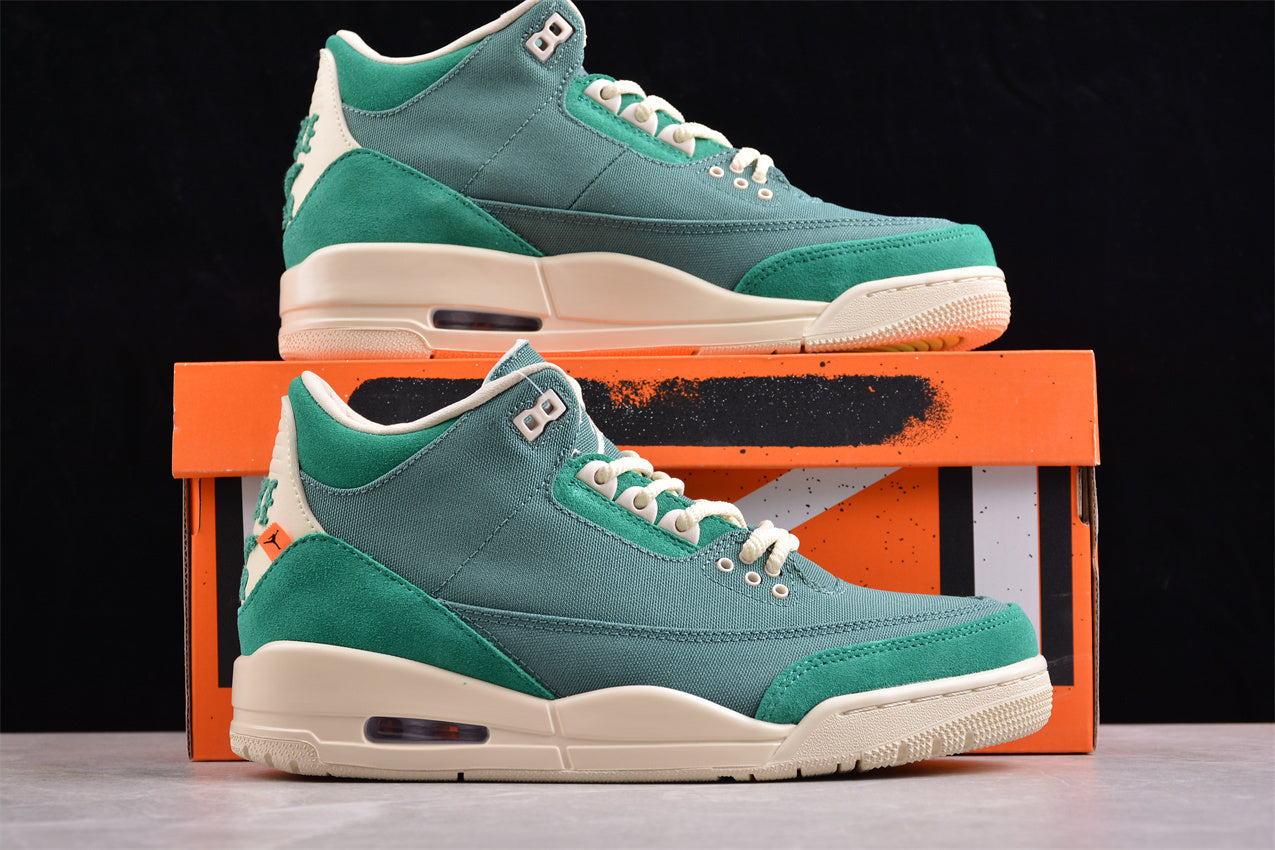 Nina Chanel Abney x Air Jordan 3 Retro AJ3 FZ7974-300
