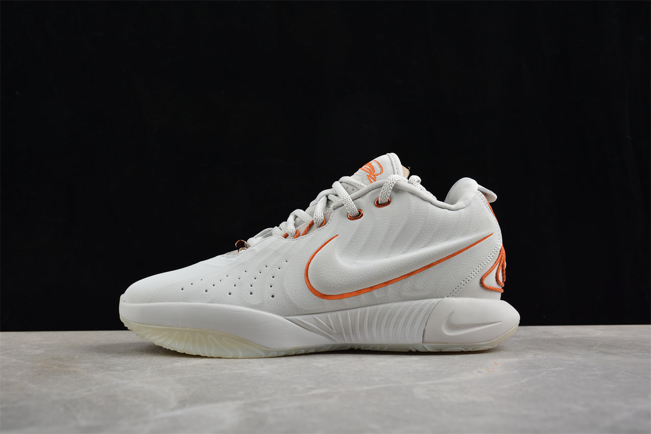 Nk LeBron XXI EP FV2346-001