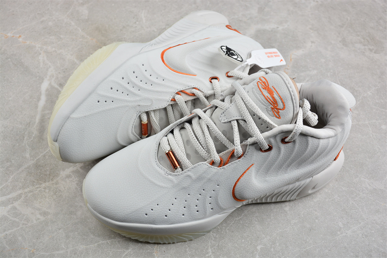 Nk LeBron XXI EP FV2346-001