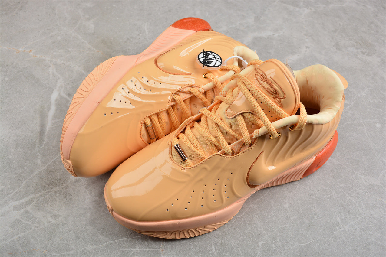 Nk LeBron XXI EP FV2346-800