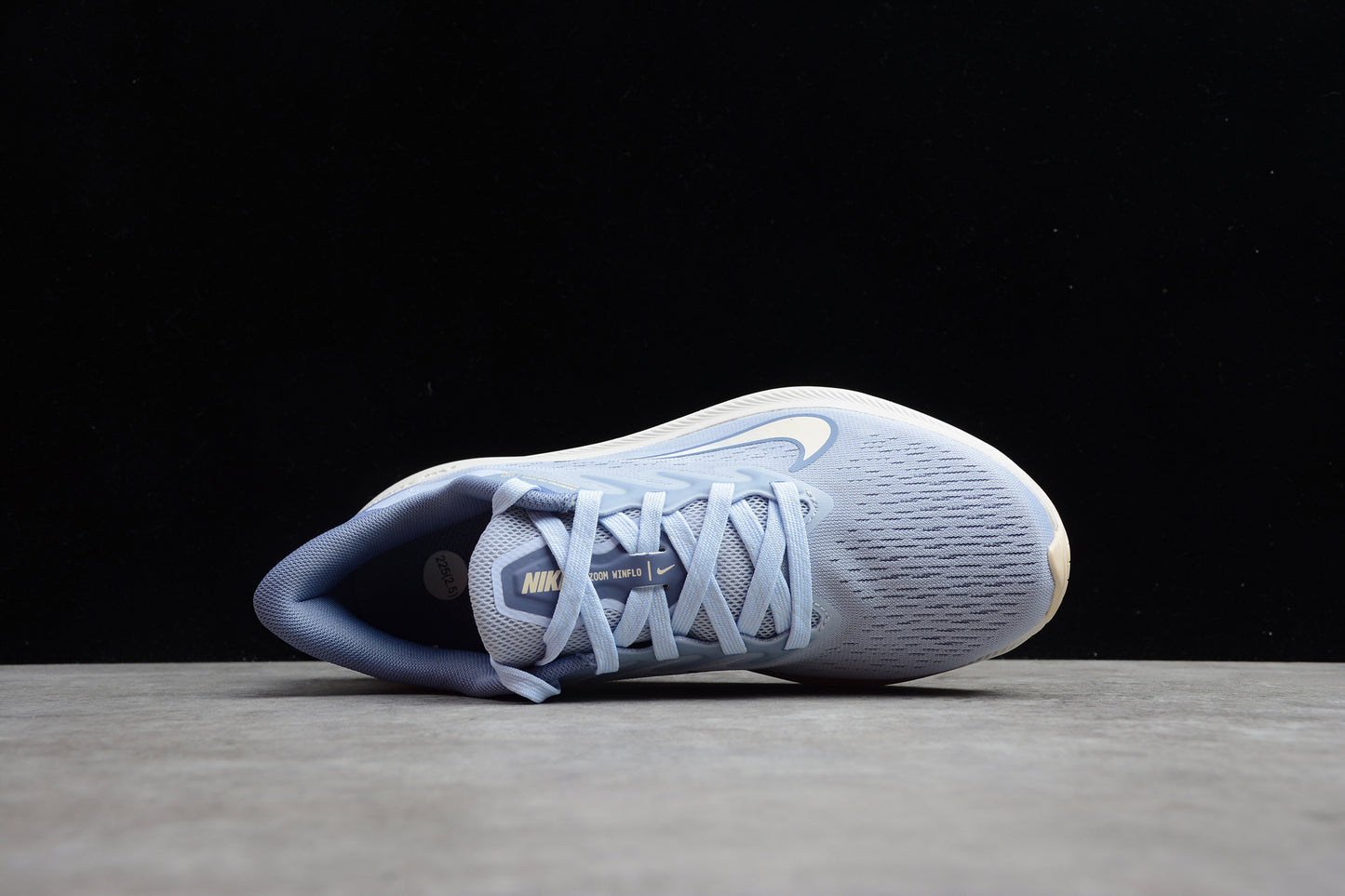 R17 Pegasus 37 CJ0302-007