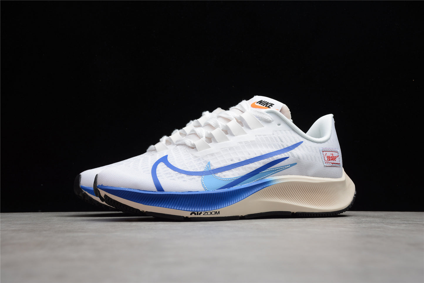 R19 Air Zoom Pegasus 37 PRM CQ9908-100