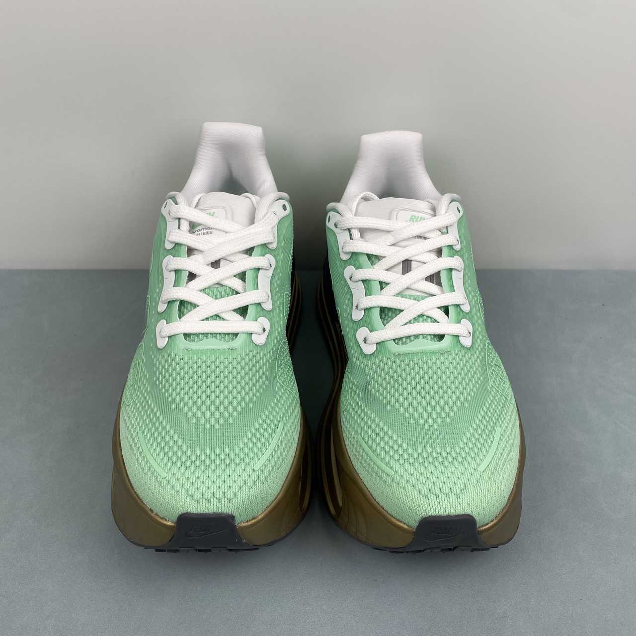 NIKE Vomero Premium FN8453