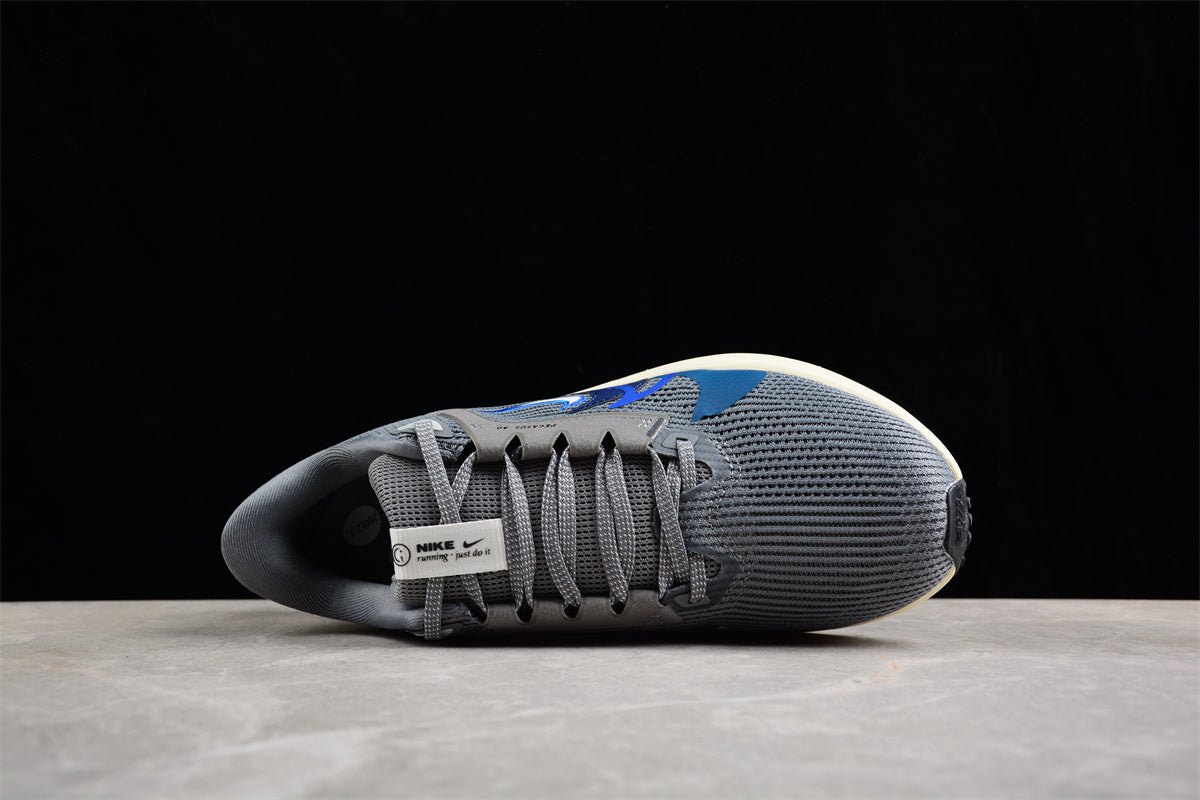 Nk Air Zoom Pegasus 40 FB7179-002