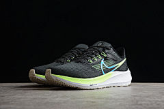Nike Zoom Pegasus 39 DO7435-900