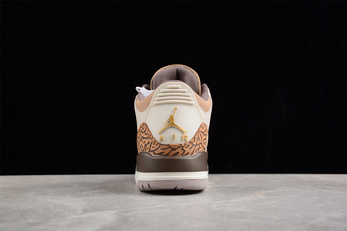 Air Jordan 3 "Palomino" AJ3  CT8532-102