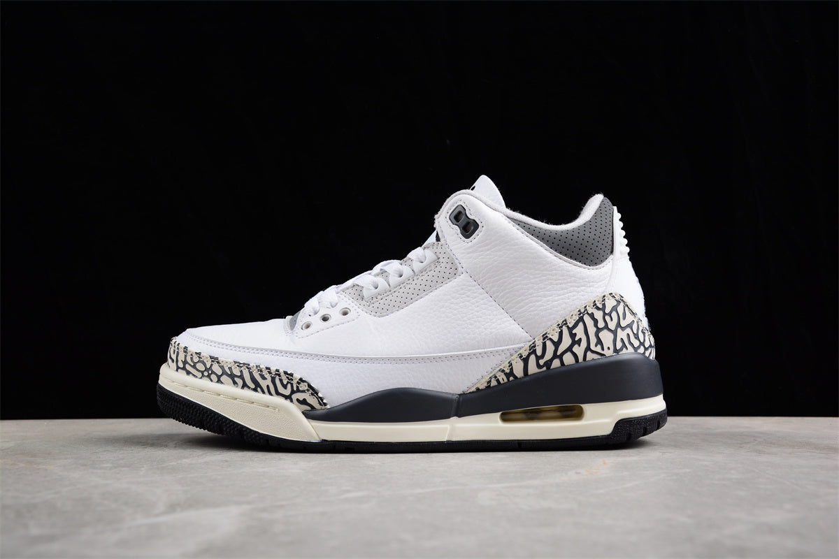 Air Jordan 3 Retro Low  DX6665-100