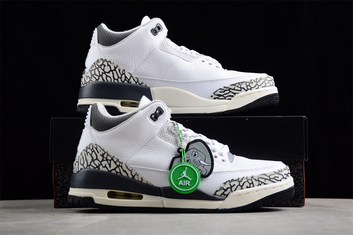 Air Jordan 3 Retro Low  DX6665-100