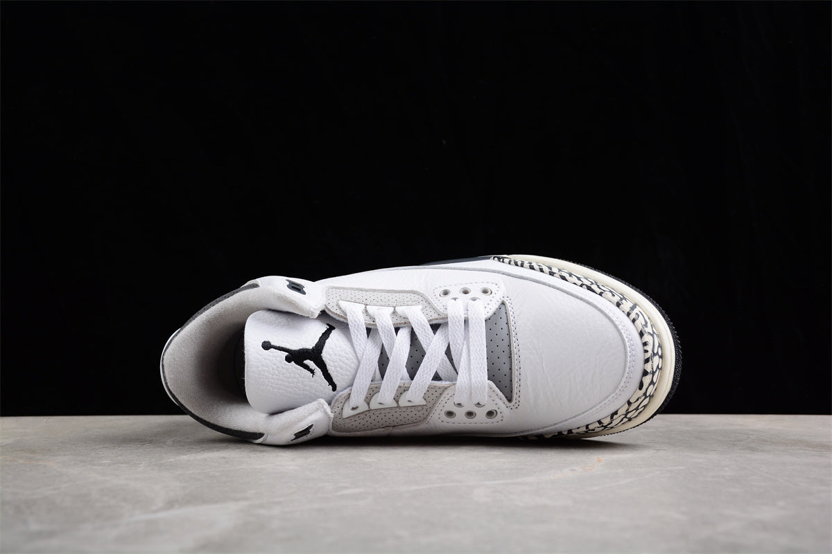 Air Jordan 3 Retro Low  DX6665-100