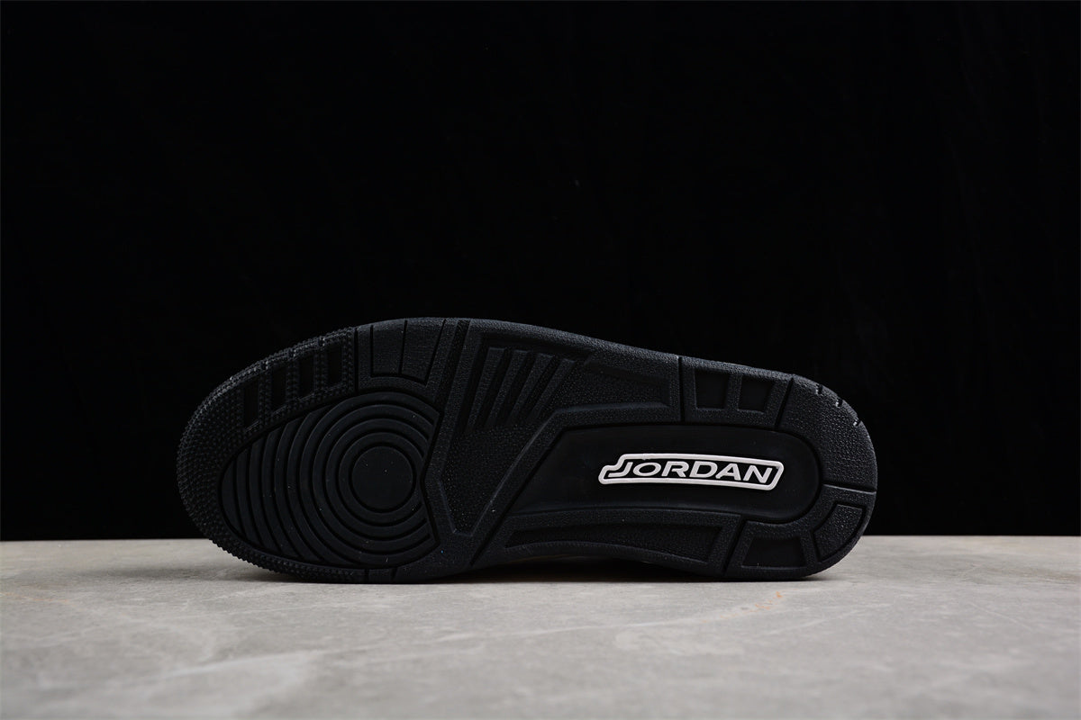 Air Jordan 3 Retro Low  DX6665-100