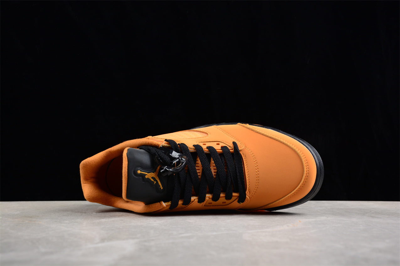 Air Jordan Retro Low AJ5 DA8016-700