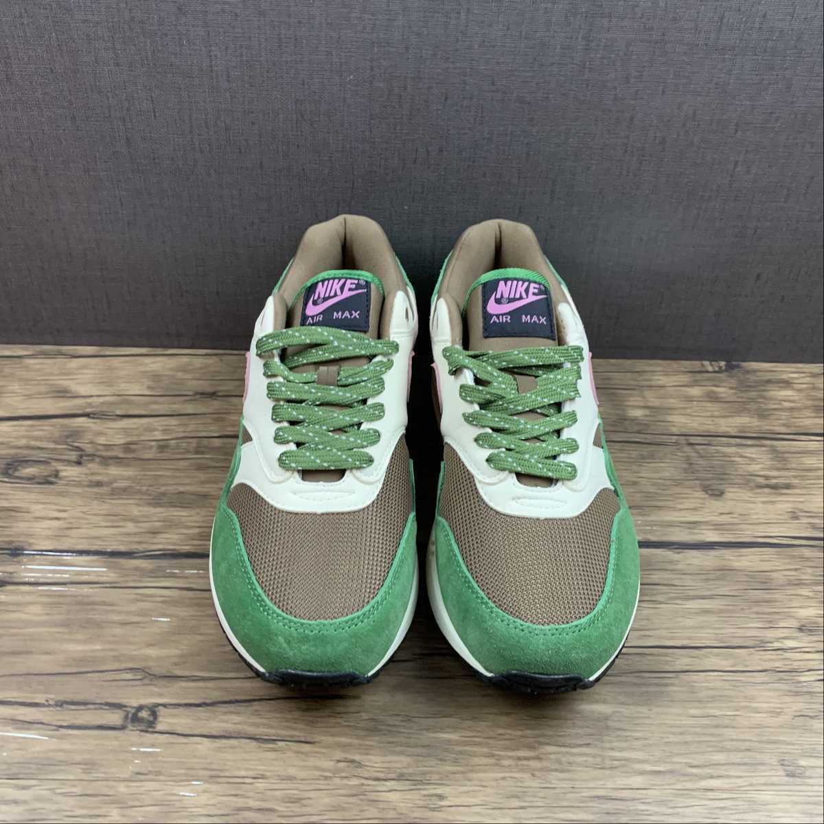 Nike Air Max 1 DR9773-300