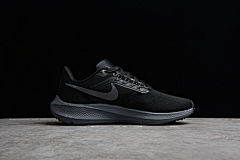 R18 NK Air Zoom Pegasus 39 DG4071-101