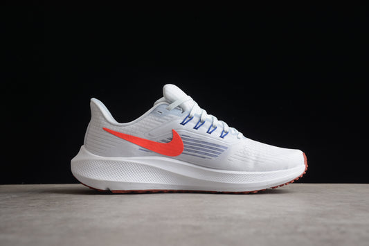Nike Air Zoom Pegasus 39 – DH4071-007