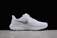 Nike Air Zoom Pegasus 39 – DH4072-100