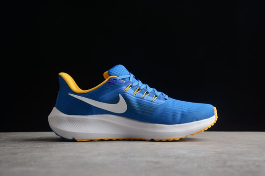 Nike Air Zoom Pegasus 39 – DR1977-400