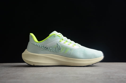 Nike Zoom Pegasus 39 DH4071-301
