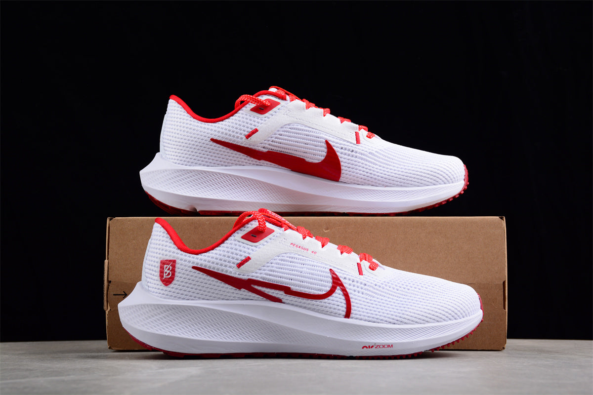 Nk Air Zoom Pegasus 40  FJ2844-100