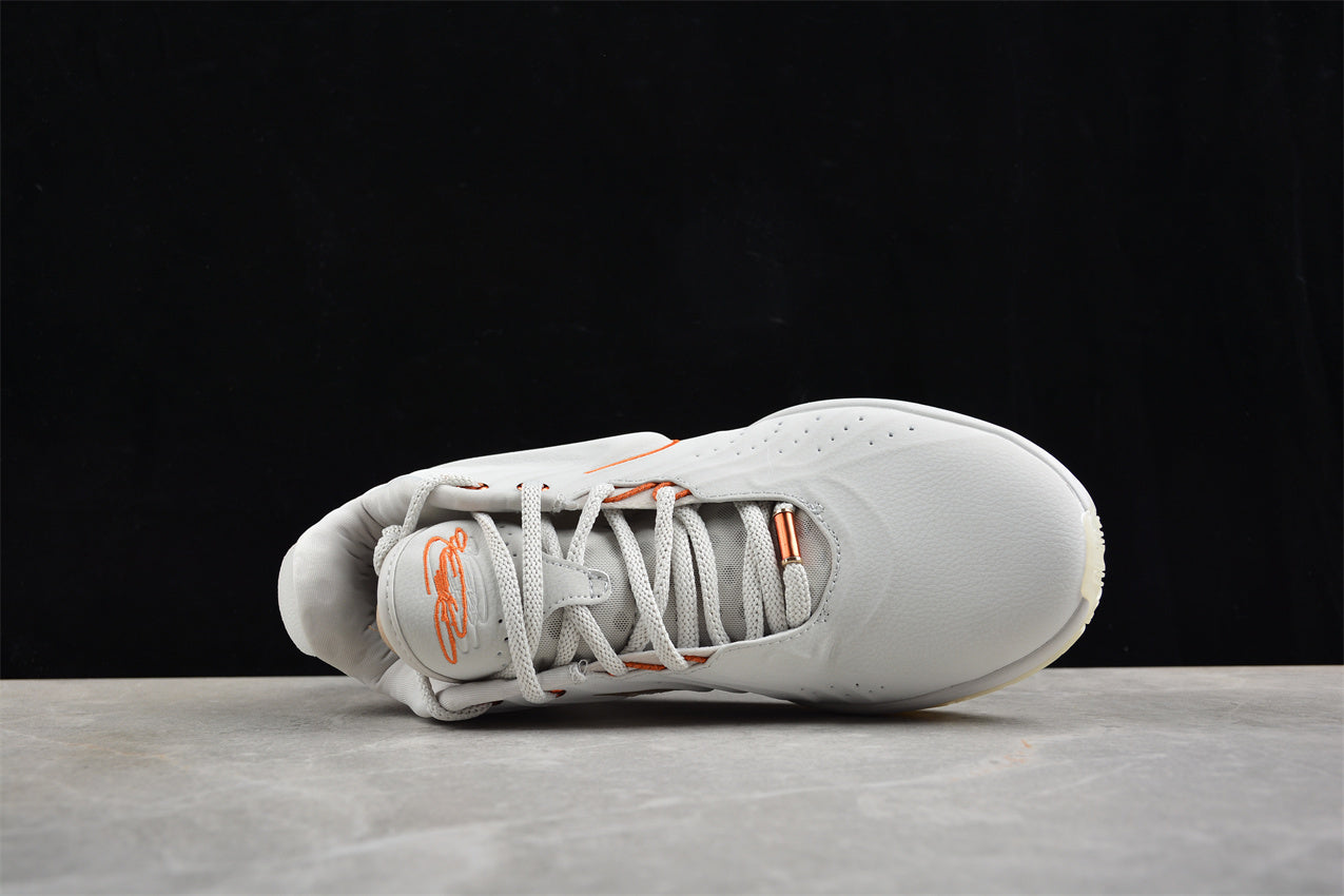Nk LeBron XXI EP FV2346-001