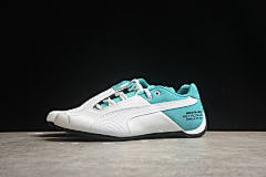 Sparco x Puma Future 307891-01