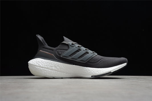 UltraBoost 21 UB21  FZ2058