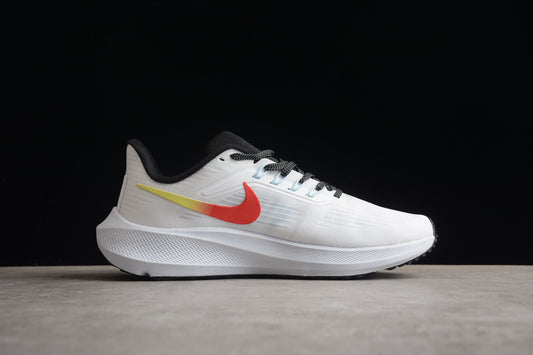 Nike Zoom Pegasus 39 DX3350-100
