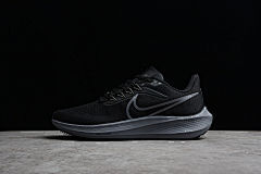 R18 NK Air Zoom Pegasus 39 DG4071-101